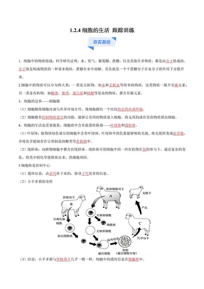 1.2.4 细胞的生活（跟踪训练）（含答案） 2024-2025学年七年级生物上学期同步课件+分层练（2024人教版）01