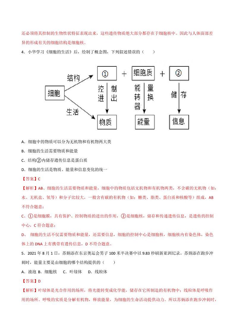 1.2.4 细胞的生活（跟踪训练）（含答案） 2024-2025学年七年级生物上学期同步课件+分层练（2024人教版）03