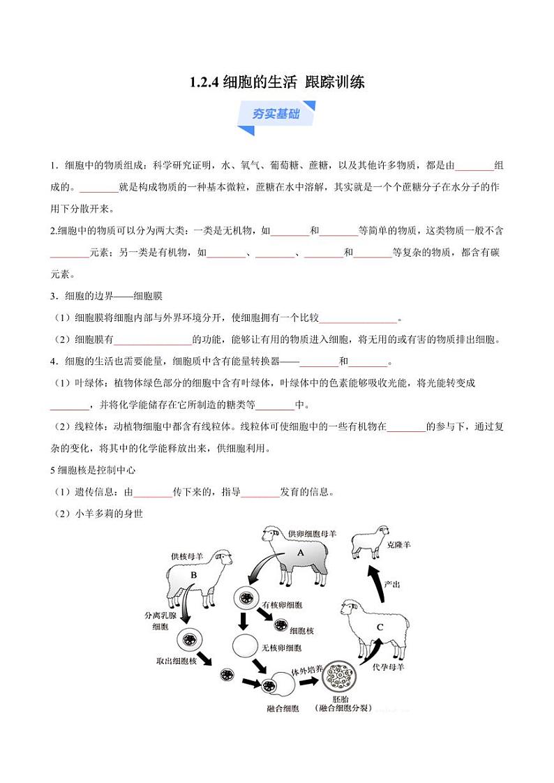 1.2.4 细胞的生活（跟踪训练）（含答案） 2024-2025学年七年级生物上学期同步课件+分层练（2024人教版）01