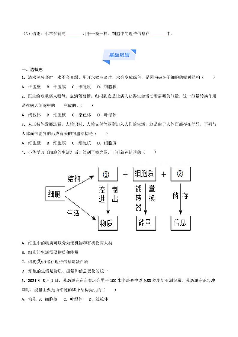 1.2.4 细胞的生活（跟踪训练）（含答案） 2024-2025学年七年级生物上学期同步课件+分层练（2024人教版）02