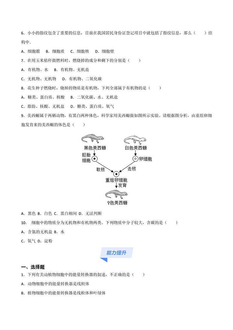 1.2.4 细胞的生活（跟踪训练）（含答案） 2024-2025学年七年级生物上学期同步课件+分层练（2024人教版）03