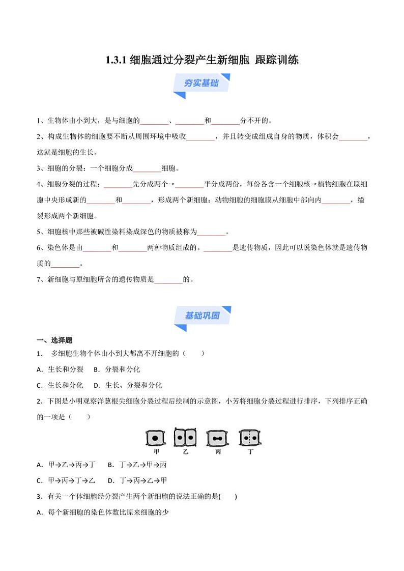 1.3.1 细胞通过分裂产生新细胞 （跟踪训练）（含答案） 2024-2025学年七年级生物上学期同步课件+分层练（2024人教版）01