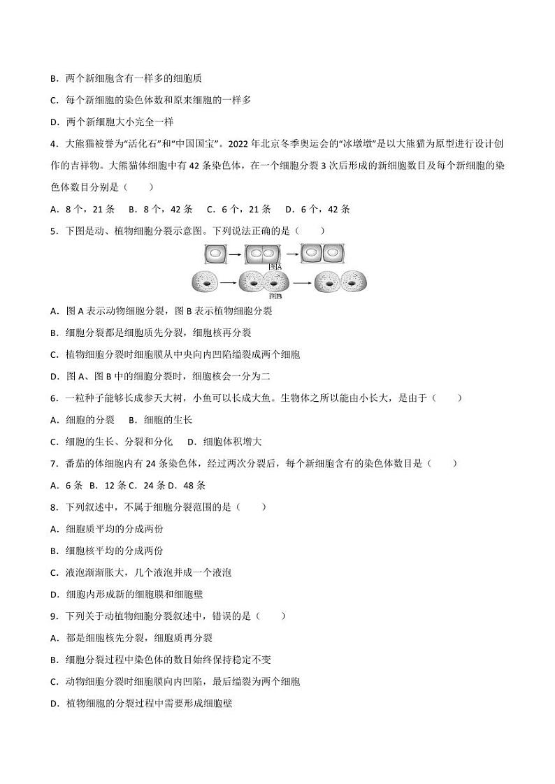 1.3.1 细胞通过分裂产生新细胞 （跟踪训练）（含答案） 2024-2025学年七年级生物上学期同步课件+分层练（2024人教版）02