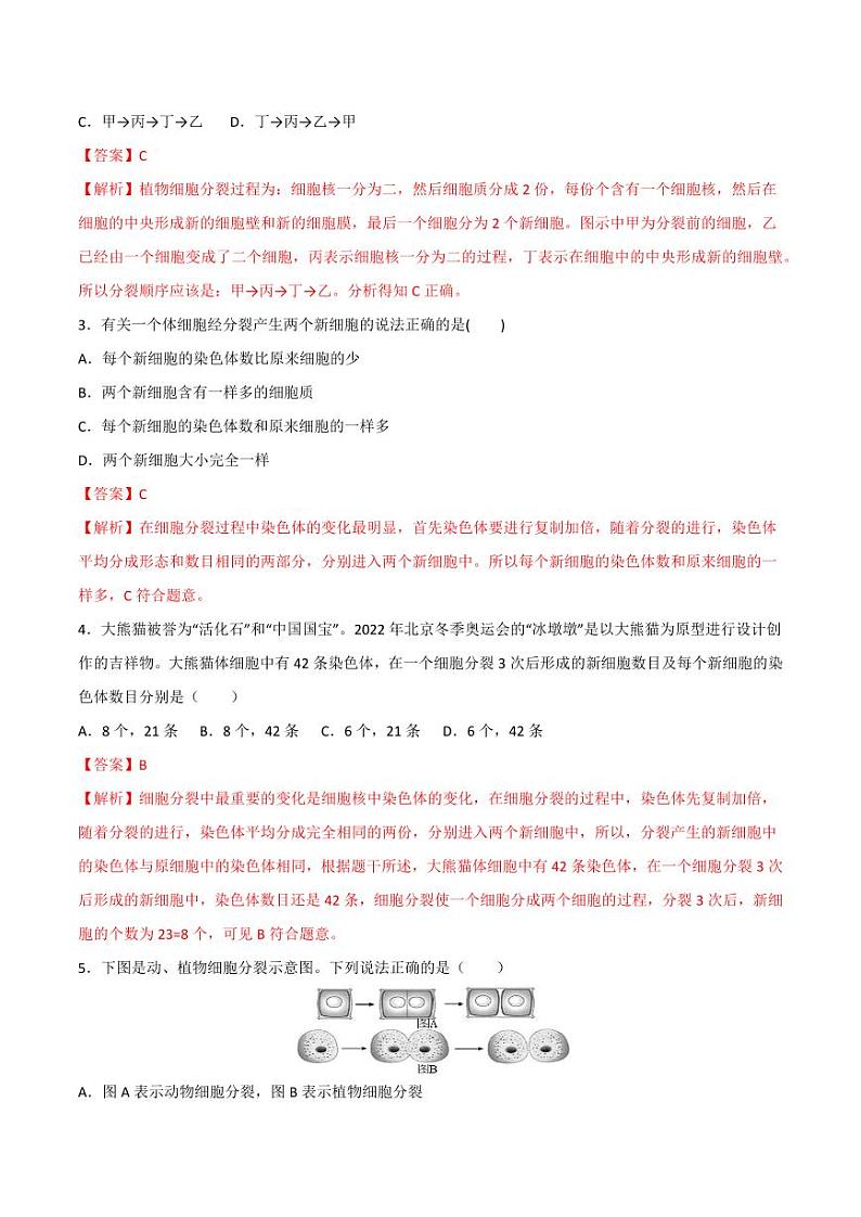 1.3.1 细胞通过分裂产生新细胞 （跟踪训练）（含答案） 2024-2025学年七年级生物上学期同步课件+分层练（2024人教版）02
