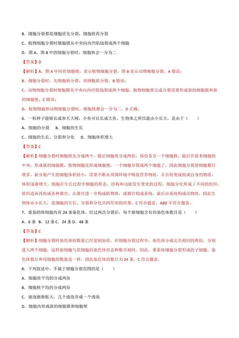 1.3.1 细胞通过分裂产生新细胞 （跟踪训练）（含答案） 2024-2025学年七年级生物上学期同步课件+分层练（2024人教版）03
