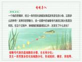 1.3.2 动物体的结构层次（跟踪训练）（含答案） 2024-2025学年七年级生物上学期同步课件+分层练（2024人教版）