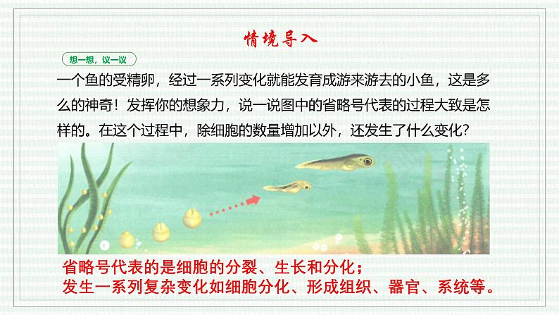 1.3.2 动物体的结构层次（跟踪训练）（含答案） 2024-2025学年七年级生物上学期同步课件+分层练（2024人教版）03