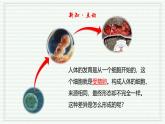 1.3.2 动物体的结构层次（跟踪训练）（含答案） 2024-2025学年七年级生物上学期同步课件+分层练（2024人教版）