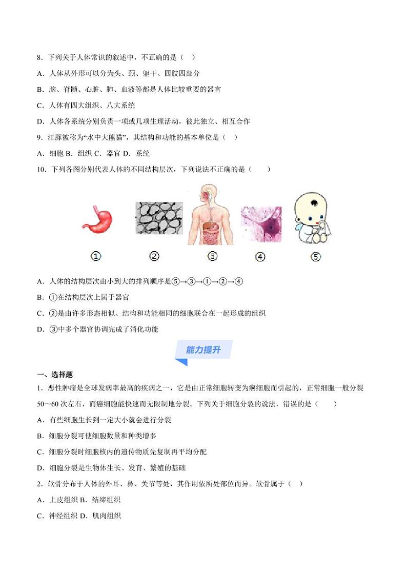 1.3.2 动物体的结构层次（跟踪训练）（含答案） 2024-2025学年七年级生物上学期同步课件+分层练（2024人教版）03