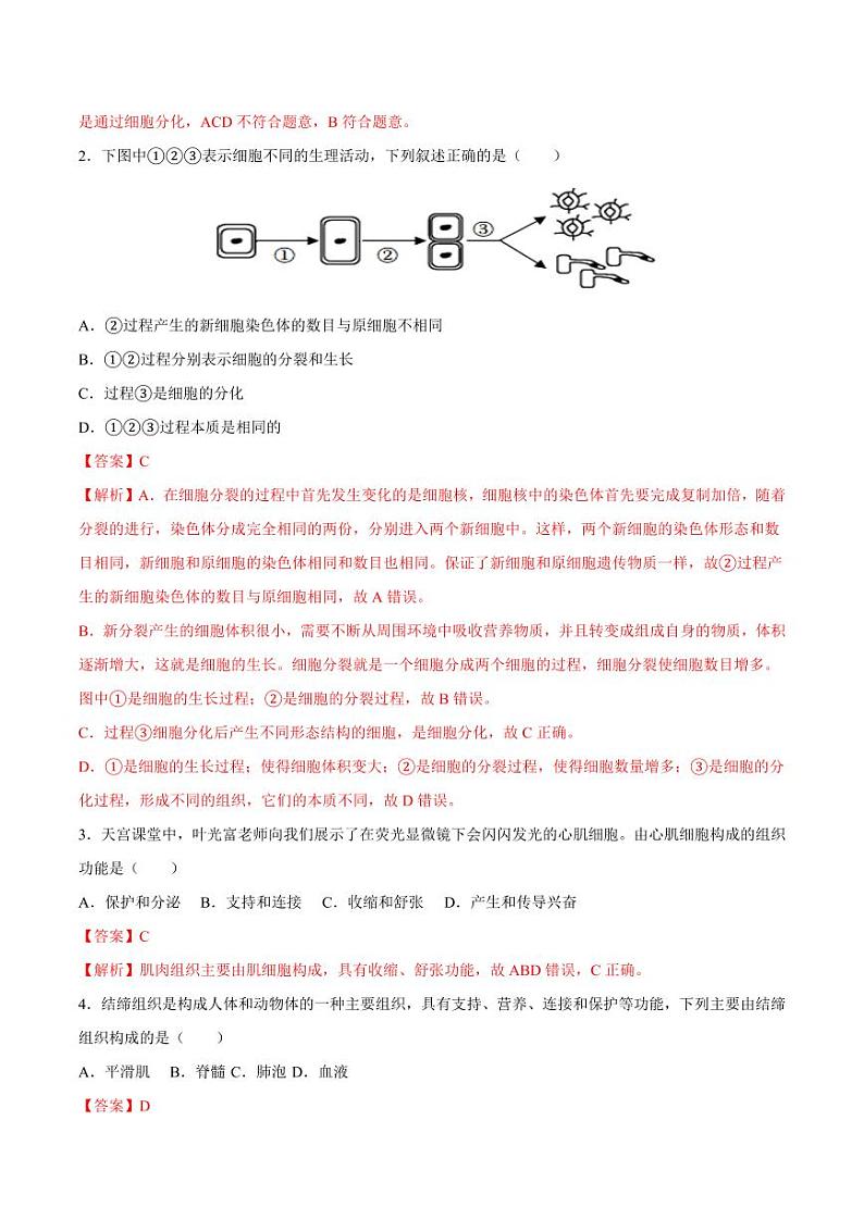 1.3.2 动物体的结构层次（跟踪训练）（含答案） 2024-2025学年七年级生物上学期同步课件+分层练（2024人教版）02