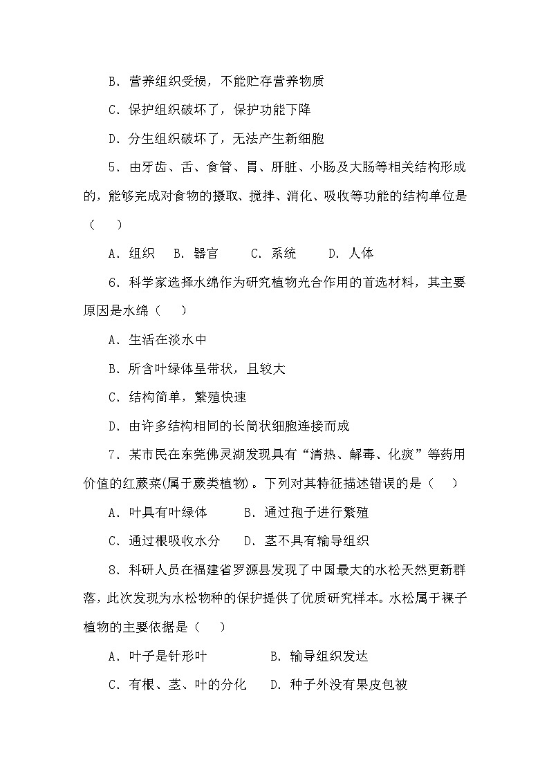 冀少版（2024）七年级上册生物期中学情评估测试卷（含答案）02