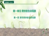 【核心素养】济南版（2024）生物七年级上册 1.1.1 生物具有基本的生命特征（教学课件+同步练习）