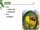 【核心素养】济南版（2024）生物七年级上册 1.1.2 探究实践是研究生命现象的重要途径（教学课件+同步练习）