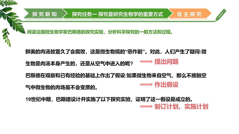 【核心素养】济南版（2024）生物七年级上册 1.1.2 探究实践是研究生命现象的重要途径（教学课件+同步练习）06