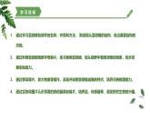 【核心素养】济南版（2024）生物七年级上册 1.1.3 研究生物学需要特定的器具（教学课件+同步练习）