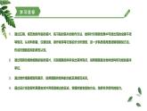 【核心素养】济南版（2024）生物七年级上册 1.2.1 细胞是生物体结构和功能的基本单位（教学课件）