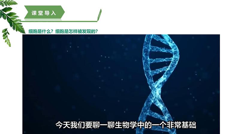 【核心素养】济南版（2024）生物七年级上册 1.2.1 细胞是生物体结构和功能的基本单位（教学课件）05