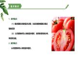 【核心素养】济南版（2024）生物七年级上册 1.2.2 细胞通过分裂和分化形成不同组织 （教学课件）