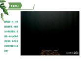 【核心素养】济南版（2024）生物七年级上册 1.2.2 细胞通过分裂和分化形成不同组织 （教学课件）