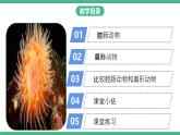 人教版八年级生物上学期  5.1.1《腔肠动物和扁形动物》课件+素材