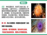 人教版八年级生物上学期  5.1.1《腔肠动物和扁形动物》课件+素材