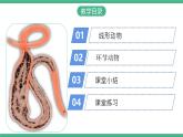 人教版八年级生物上学期  5.1.2《线形动物和环节动物》课件+素材