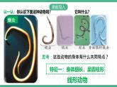 人教版八年级生物上学期  5.1.2《线形动物和环节动物》课件+素材