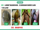 人教版八年级生物上学期  5.1.3《软体动物和节肢动物》课件+素材