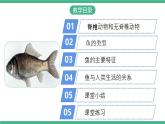 人教版八年级生物上学期  5.1.4《鱼》课件+素材