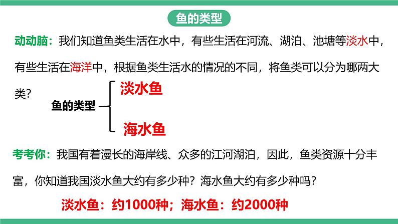 人教版八年级生物上学期  5.1.4《鱼》课件+素材07