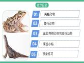 人教版八年级生物上学期  5.1.5《两栖动物和爬行动物》课件+素材