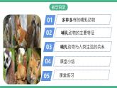 人教版八年级生物上学期  5.1.7《哺乳动物》课件