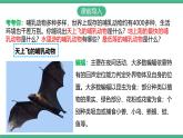 人教版八年级生物上学期  5.1.7《哺乳动物》课件