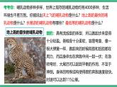 人教版八年级生物上学期  5.1.7《哺乳动物》课件