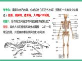 人教版八年级生物上学期  5.2.1《动物的运动》课件+素材