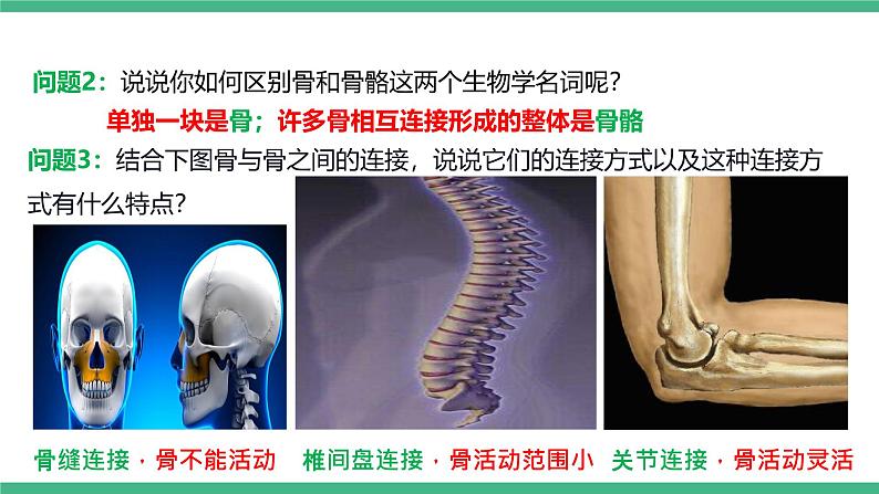 人教版八年级生物上学期  5.2.1《动物的运动》课件+素材06