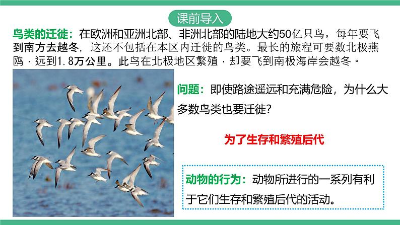 人教版八年级生物上学期  5.2.2《先天性行为和学习行为》课件+素材03