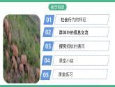 人教版八年级生物上学期  5.2.3《社会行为》课件+素材