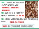 人教版八年级生物上学期  5.2.3《社会行为》课件+素材