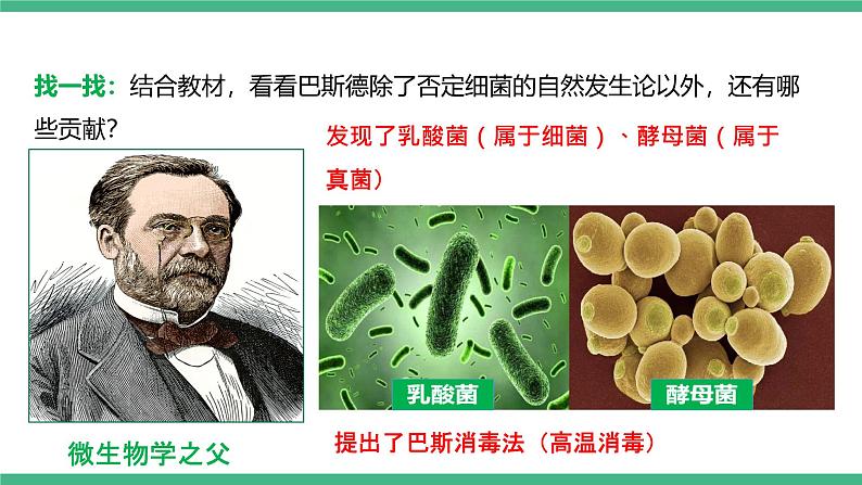 人教版八年级生物上学期  5.4.2《细菌》课件+素材08