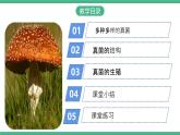 人教版八年级生物上学期  5.4.3《真菌》课件+素材