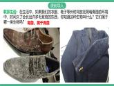 人教版八年级生物上学期  5.4.3《真菌》课件+素材
