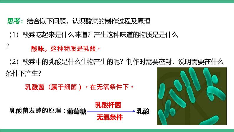 人教版八年级生物上学期  5.4.5《人类对细菌和真菌的利用》课件第5页