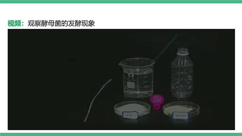 人教版八年级生物上学期  5.4.5《人类对细菌和真菌的利用》课件第7页