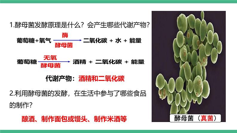 人教版八年级生物上学期  5.4.5《人类对细菌和真菌的利用》课件第8页