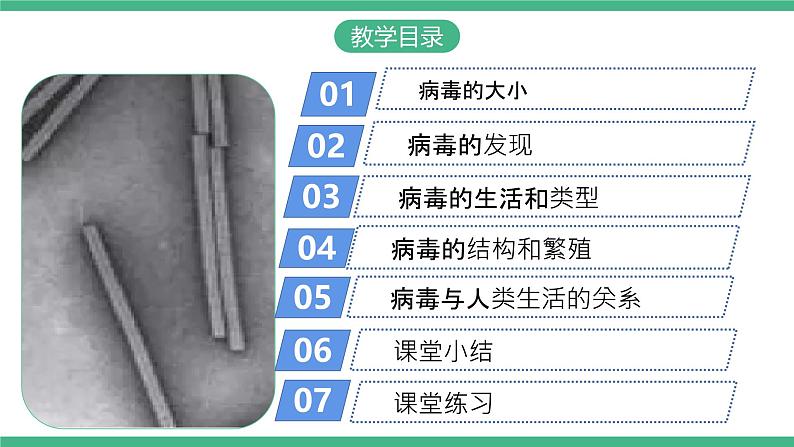 人教版八年级生物上学期  5.5《病毒》课件+素材02