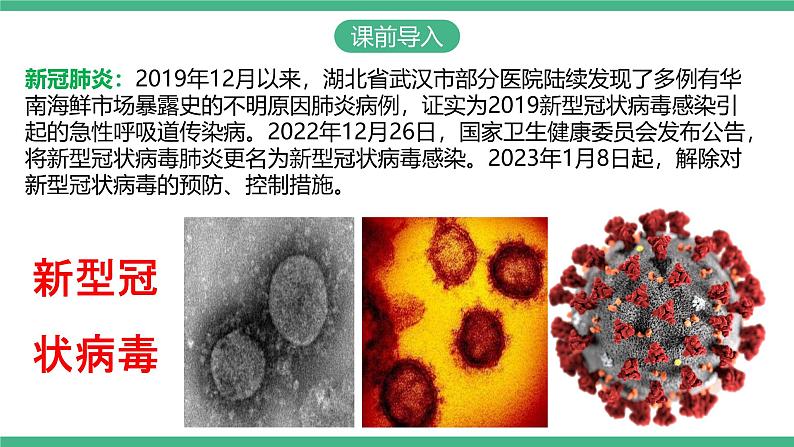 人教版八年级生物上学期  5.5《病毒》课件+素材03