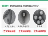 人教版八年级生物上学期  5.5《病毒》课件+素材