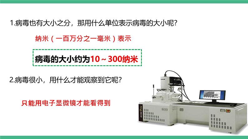 人教版八年级生物上学期  5.5《病毒》课件+素材06