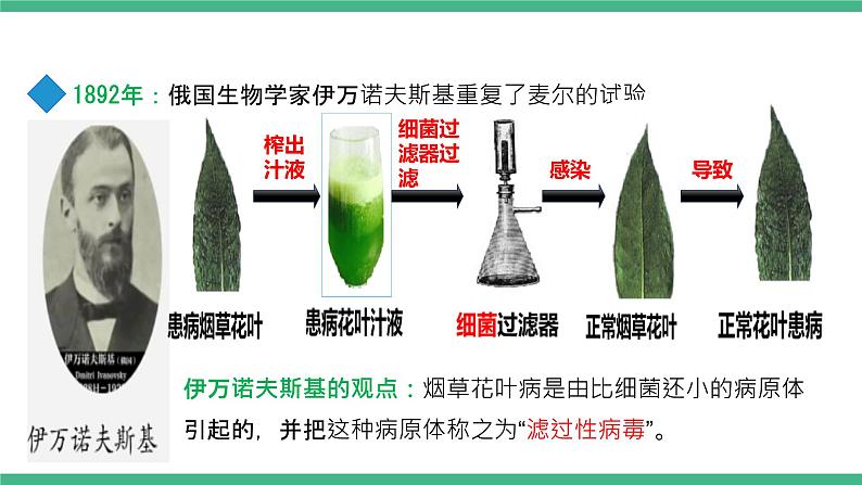 人教版八年级生物上学期  5.5《病毒》课件+素材08